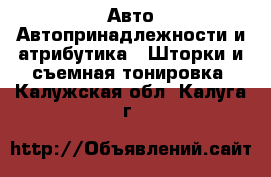 Авто Автопринадлежности и атрибутика - Шторки и съемная тонировка. Калужская обл.,Калуга г.